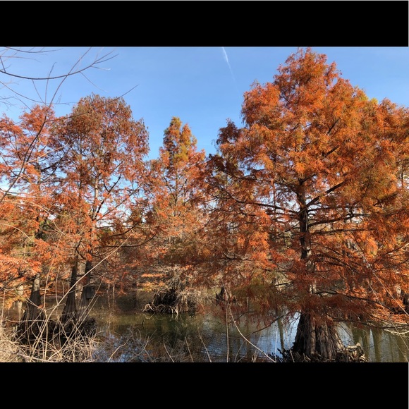 Say hello!! ❤️ - Picture 2 of 3